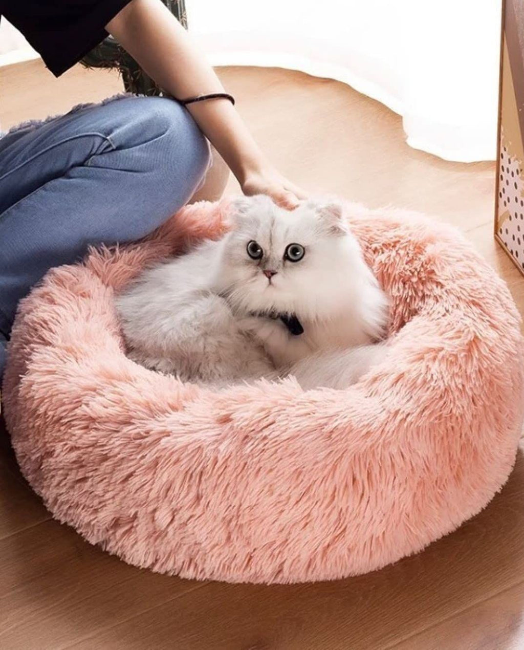 Cat Bed Fluffy Cat Bed Round Cat Bed Cat Furniture Cat Comfort Cat Sleeping Bed - Green / 20in