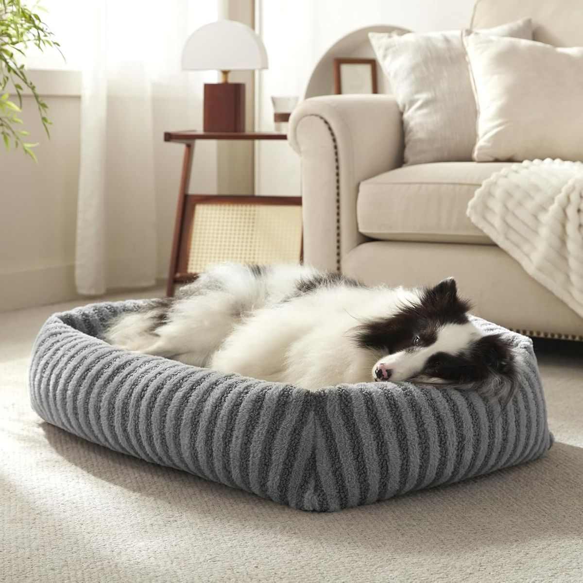 Dog Bed Soft Dog Bed Rabbit Velvet Dog Bed Teddy Fabric Dog Bed Cozy Dog Bed - White - Size 20in*19in