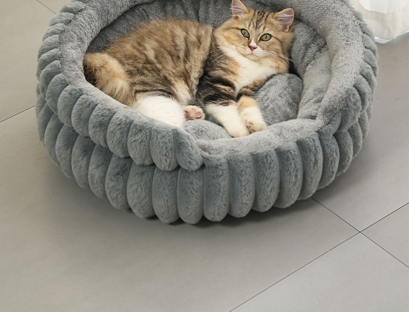 Round Plush Pet Bed with Removable Cover – Coffee, XL, 27.56 x 27.56 x 7.09in