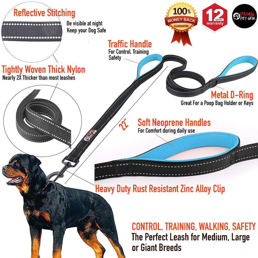 Reflective Dog Leash with Dual Handles - Anti-Shock Nylon Pet Lead for Large Medium Dogs - No-Pull Training Leash - Fluorescent Green 1.8m