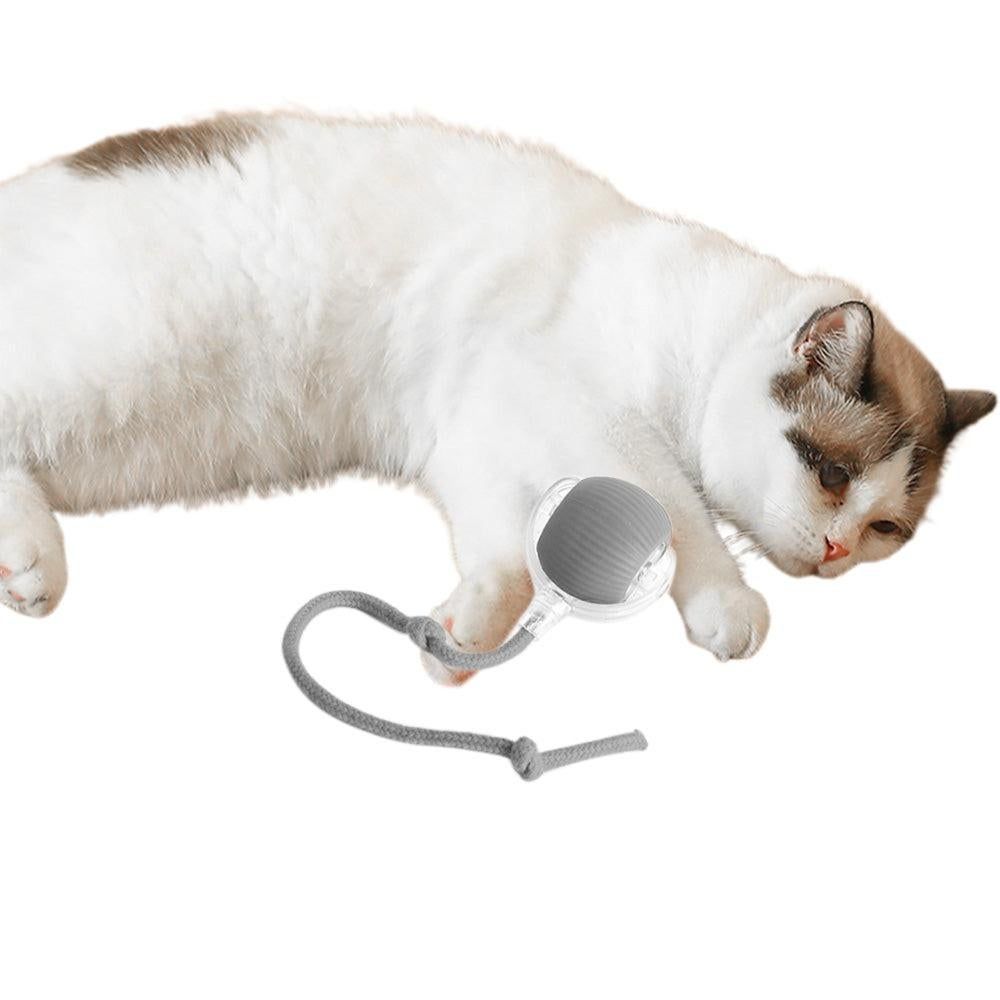 Interactive Cat Toy Ball Fast Rolling Motion Activate Cat Toys Gray