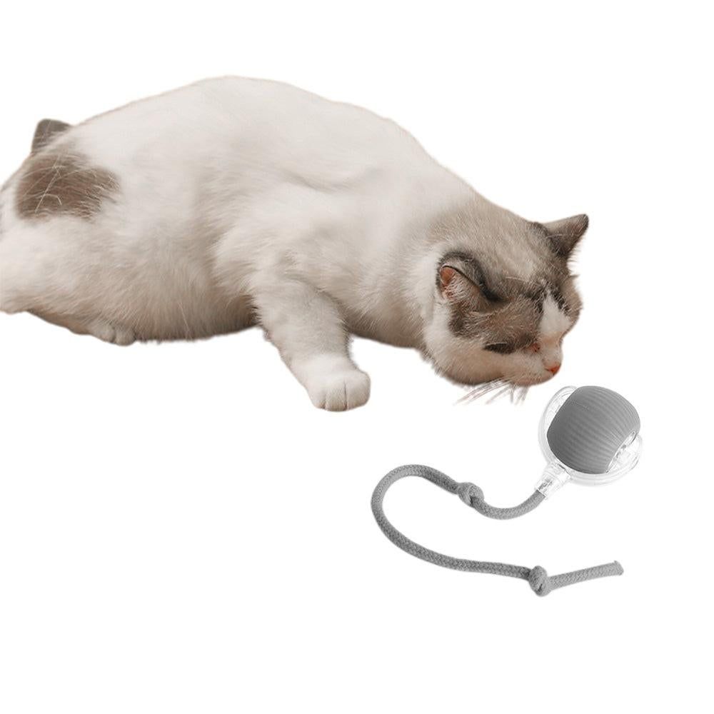 Interactive Cat Toy Ball Fast Rolling Motion Activate Cat Toys Gray