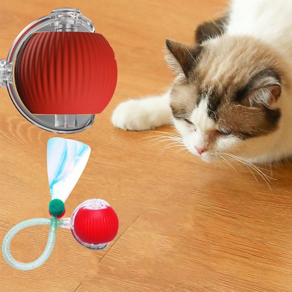 Interactive Cat Toy Moving Cat Ball with Dragonfly Tail Indoor Auto-Turn Cat Toy Red