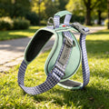 Synergy Plaid Dog Harness Vest Polyester XL19 Green m