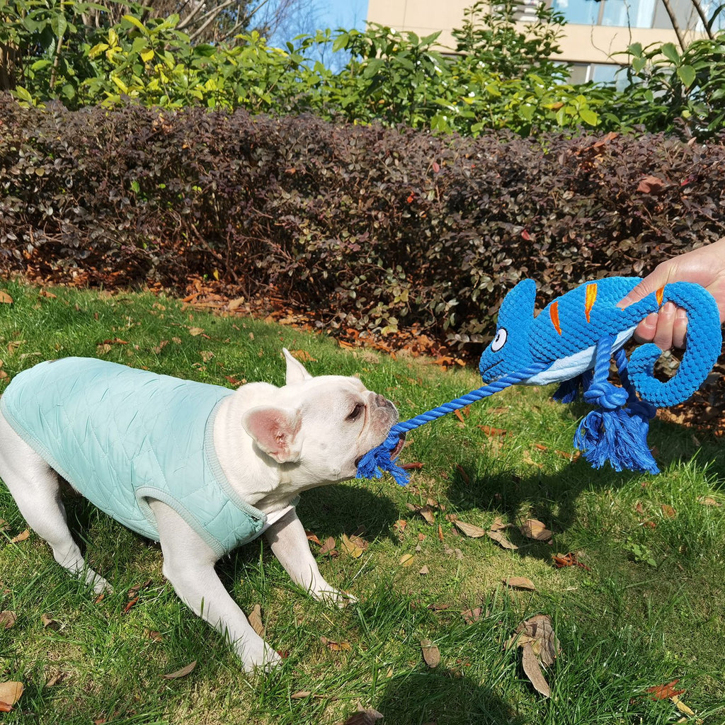 2-Piece Blue Plush Chameleon Dog Toys with Squeaker & Rope Legs – Durable Washable Chew Toys with Teeth-Cleaning Texture, 10.2in