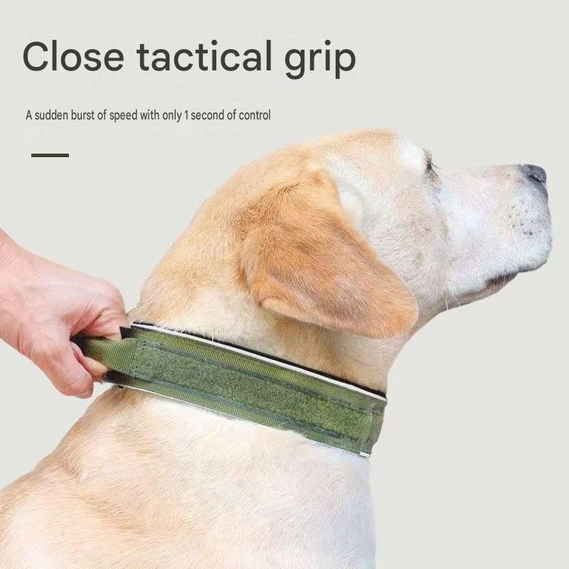 Blue Tactical Dog Collar – Padded Nylon, Quick Release Metal Buckle, Control Handle & D-Ring – XL